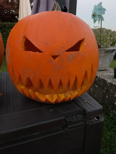 IMG 1655